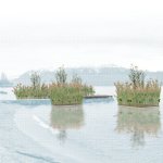 Image-Perspective