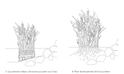schemas_phasage_BW-2