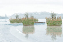 Iles artificiels avec du roseau et su saule au rive du lac Léman à Lausanne